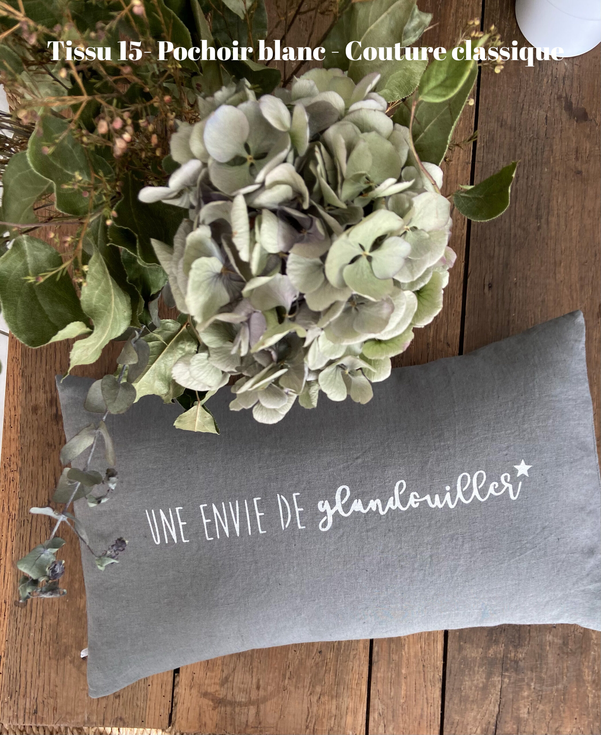 adf-uneneviedegladouiller-15-T Coussin " Une envie de glandouiller " – Image 1